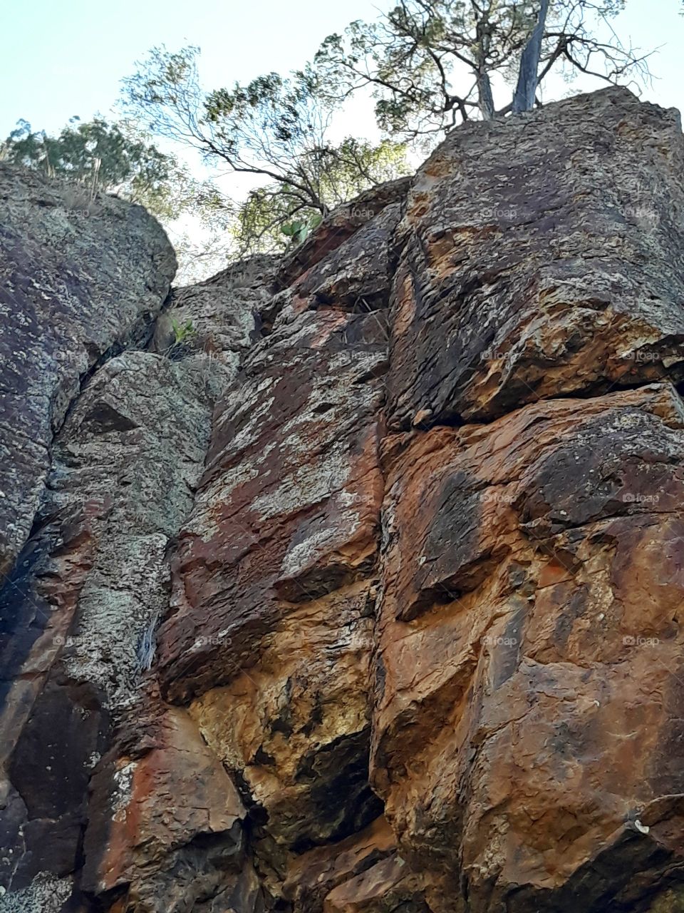 A fine specimen of mother nature