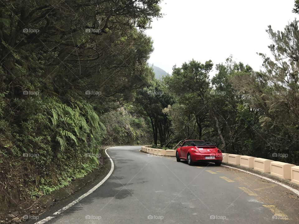 Discovering Tenerife. A car adventure 