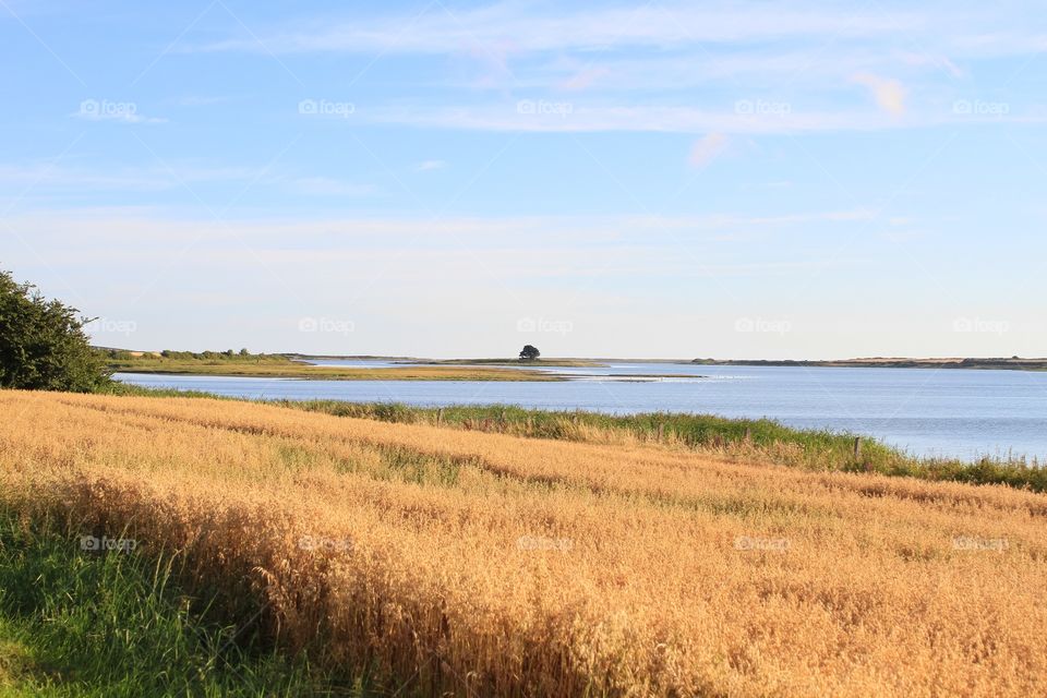 Landscape, No Person, Water, Sky, Grass