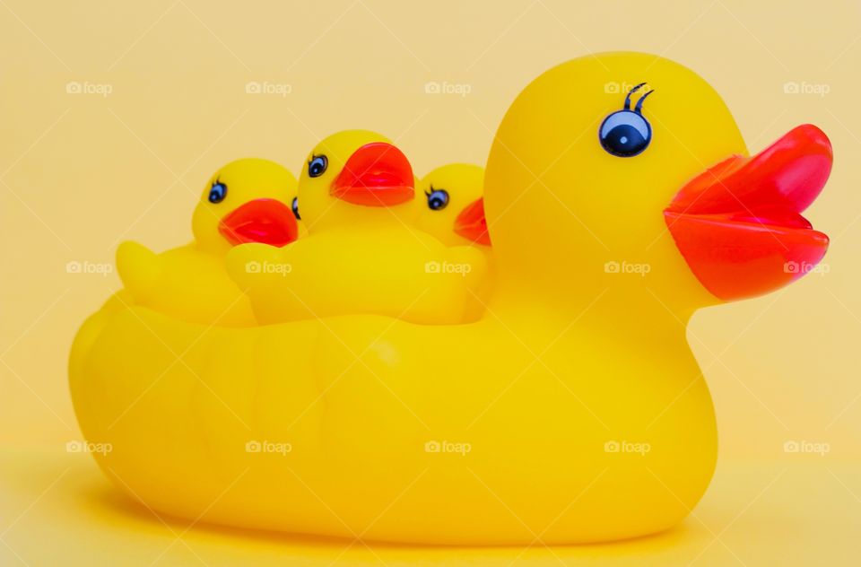 Mother rubber duck and three baby rubber ducklings on a bright yellow background
