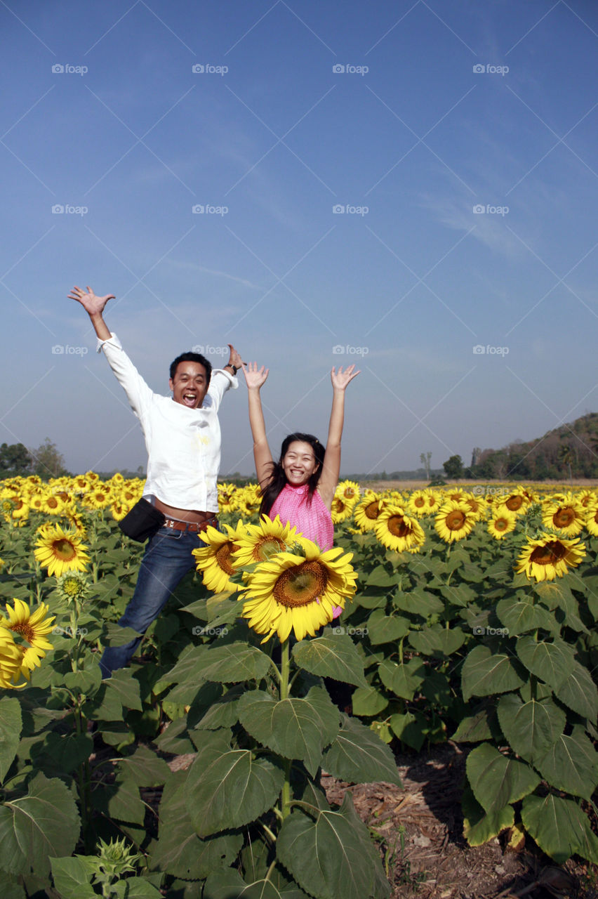 Travel in Thailand sunflowers field 