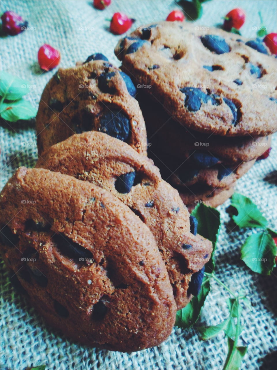 oatmeal cookies with chunks of chocolate and rose hips, dessert