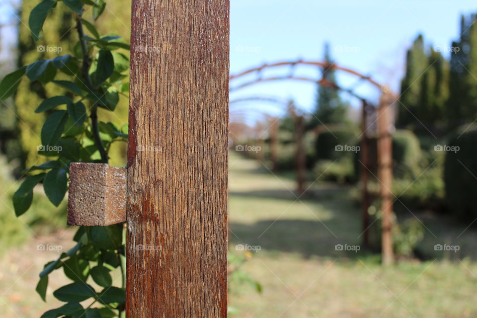 close-up on wooden frame and green plants