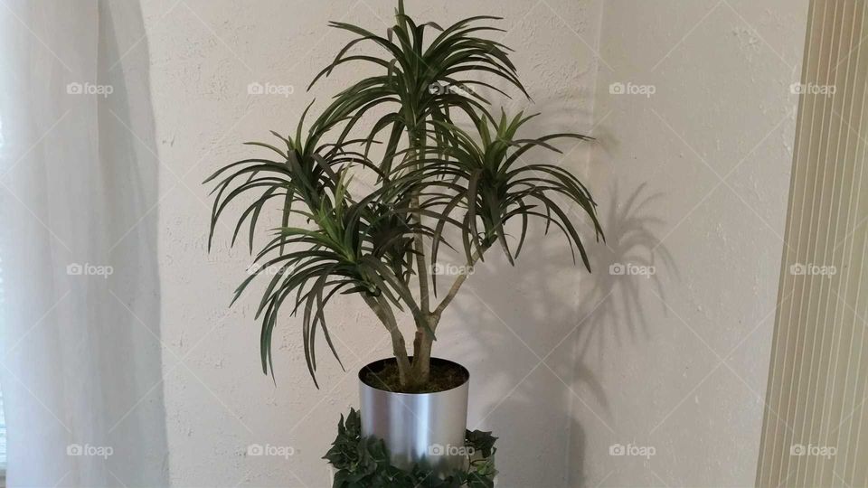 artificial plant