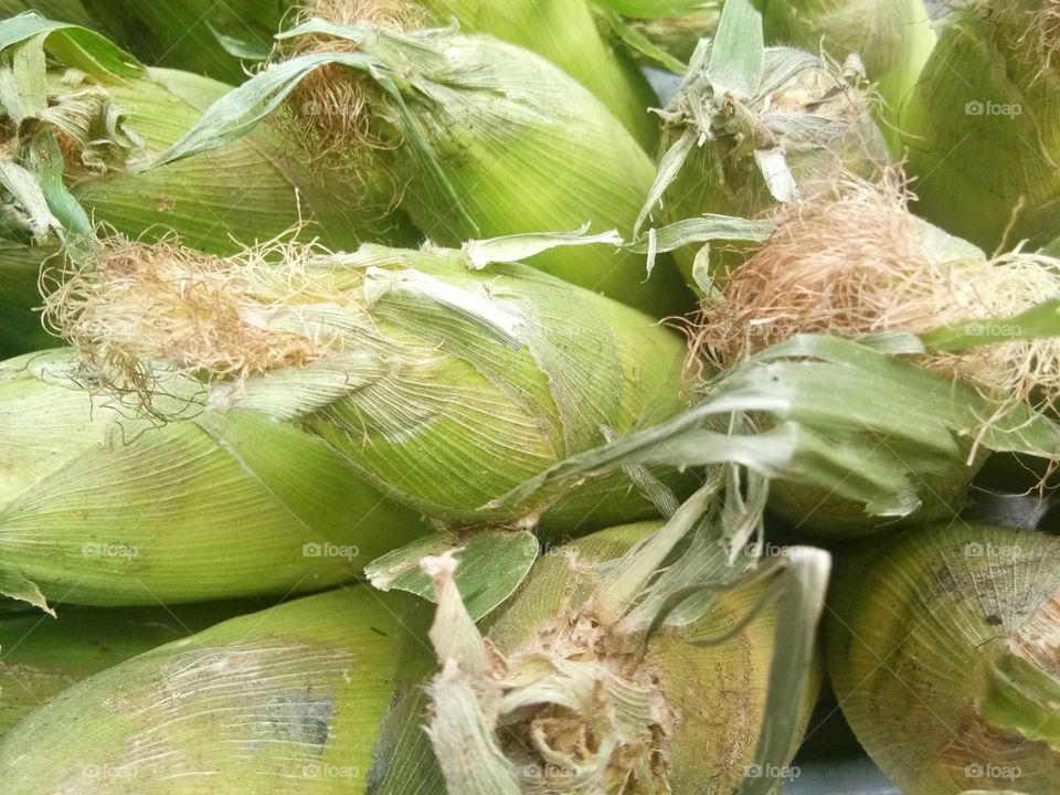 Raw corn