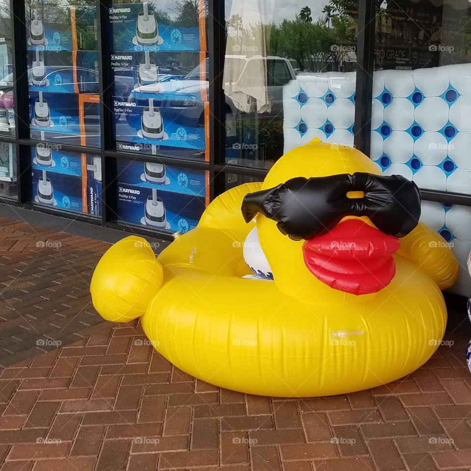 The biggest rubber ducky summer float - with shades!