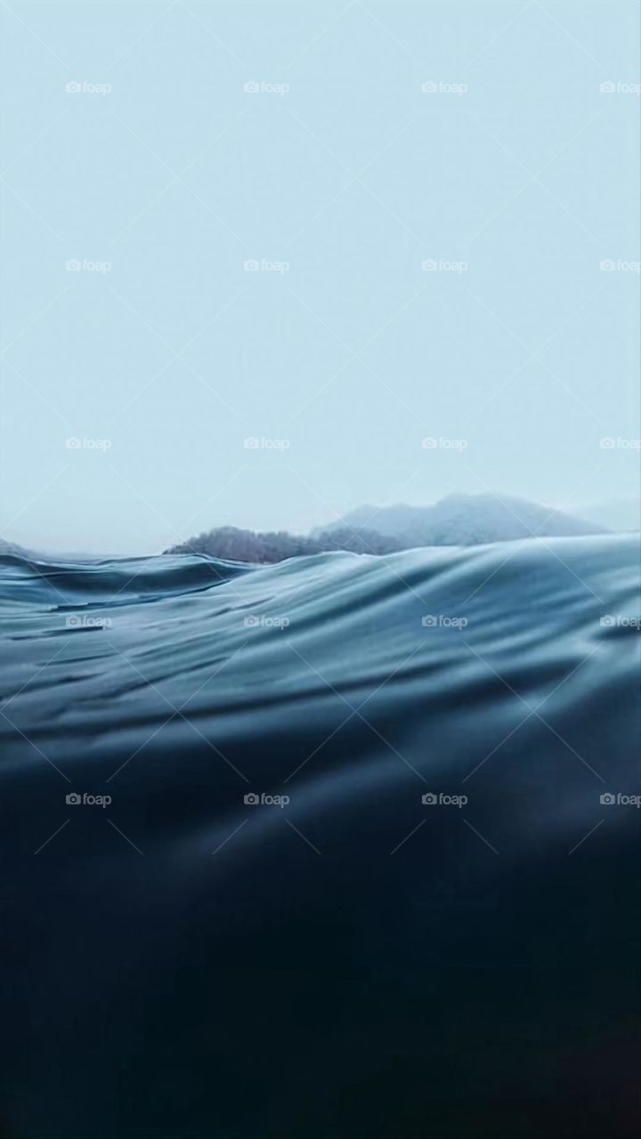 A very beautiful picture, and there is no better picture than it. There is no better picture of green herbs and colorful, red and white roses than it. Glory be to God, the natural and picturesque view, and there is no more