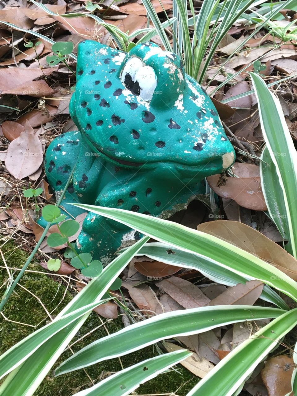 Frog yard ornaments 