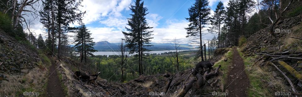 Columbia River Gorge panoramic from the Ponytail Falls trail.