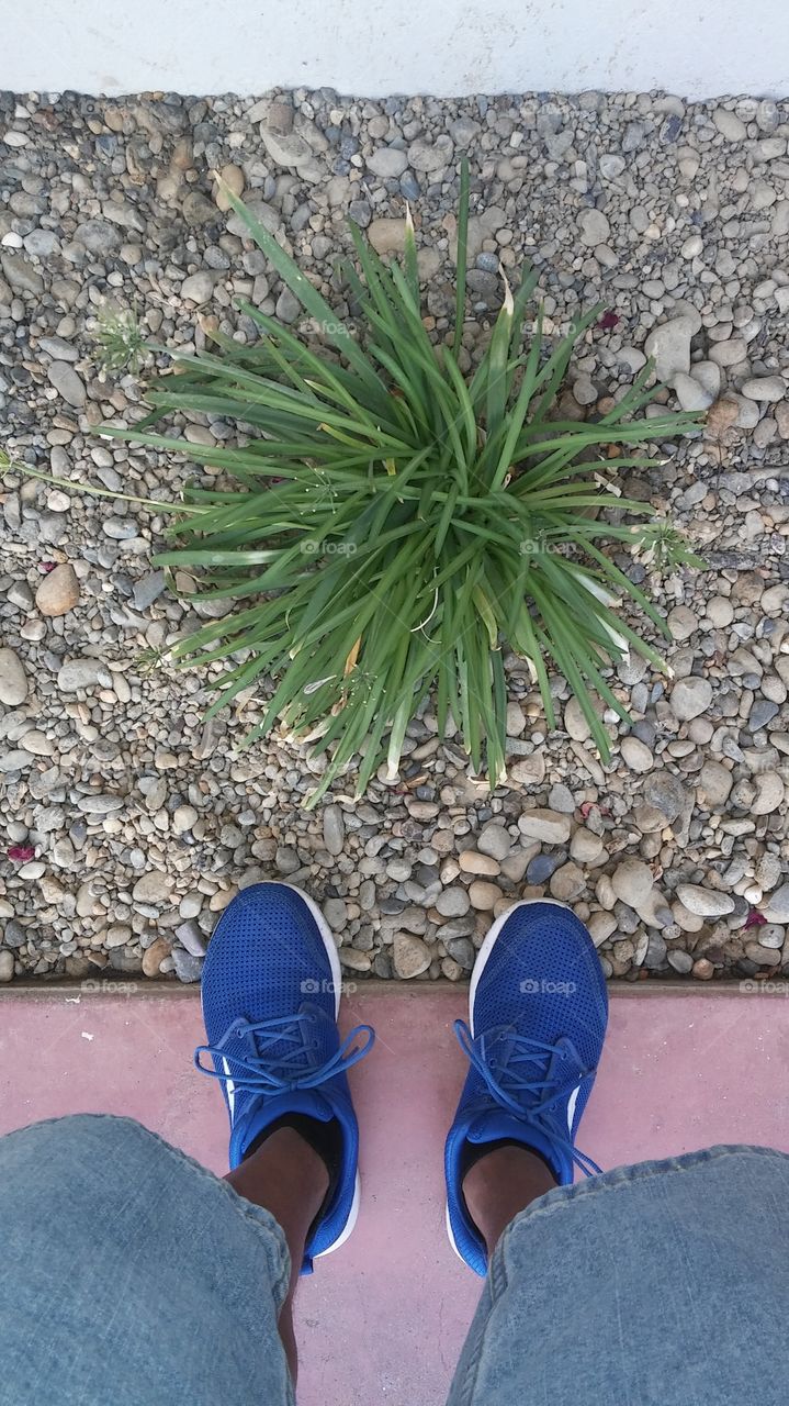 river rock landscape