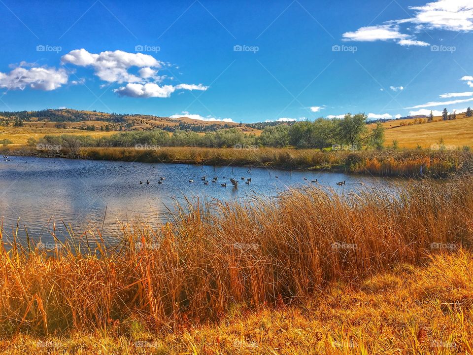 Beautiful summer day 