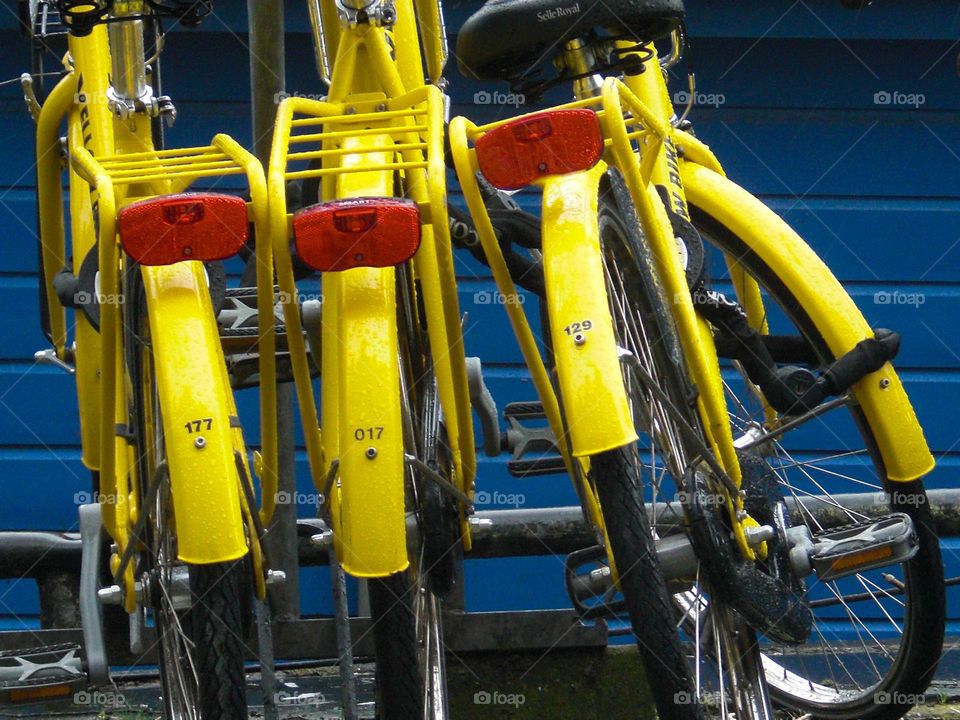 Three yellow bicycles