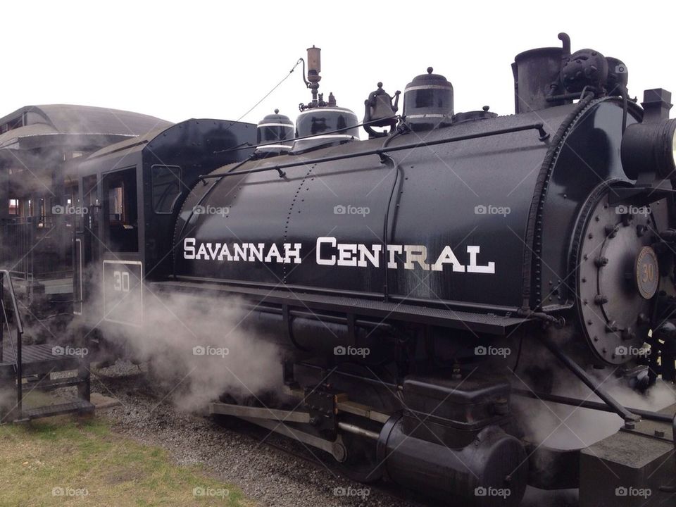 Savannah Central #30