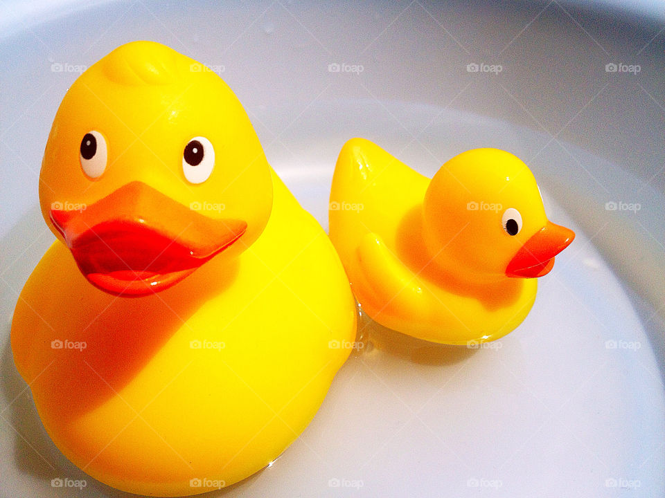 Rubber duck