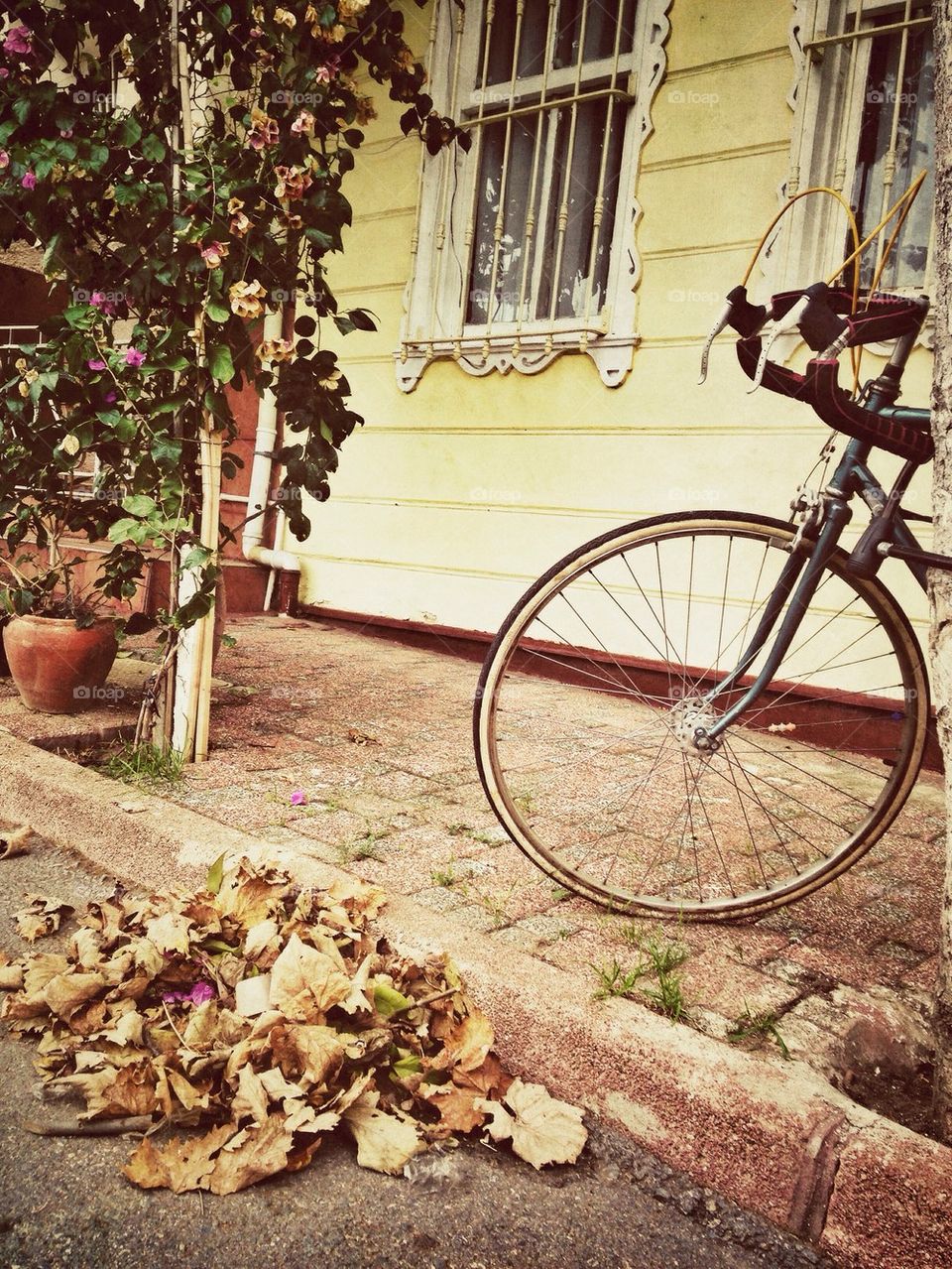 Autumn and Bicycle