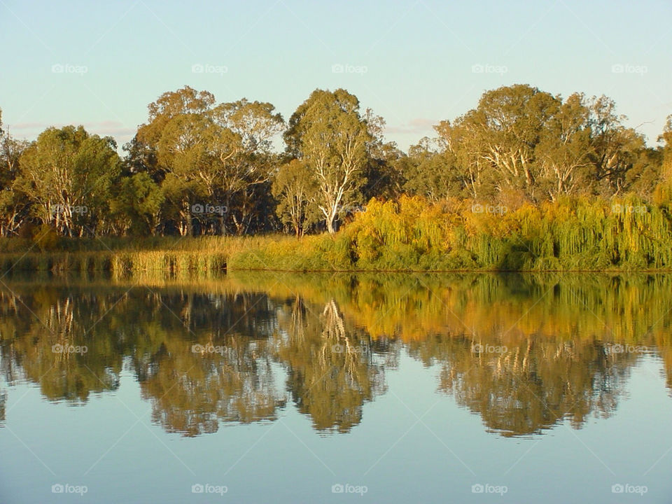 trees water river reflection by kshapley