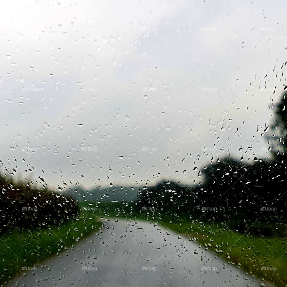 on a rainy day in the Netherlands