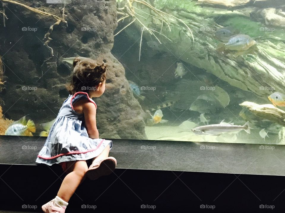 Little girl watching fish swim at aquarium 