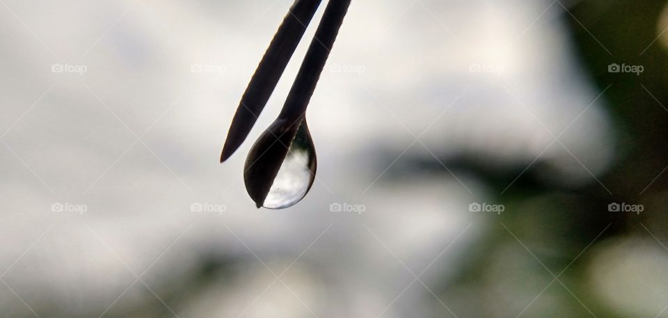 water Drop