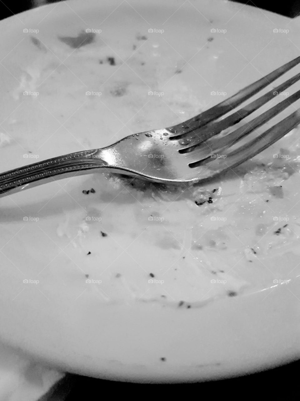 Fork Plate Black White