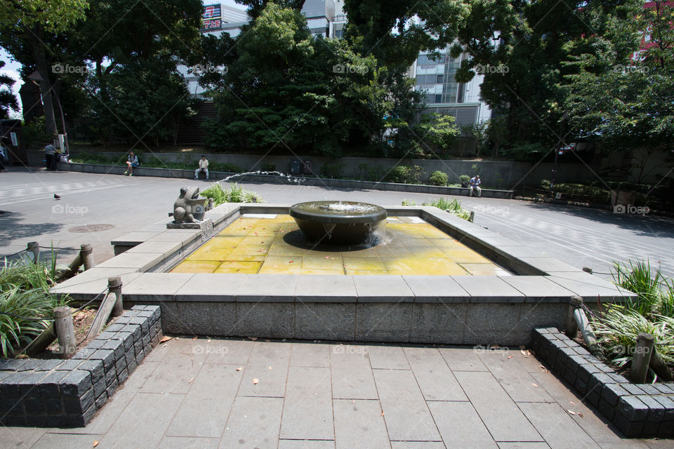 Fountain in the park