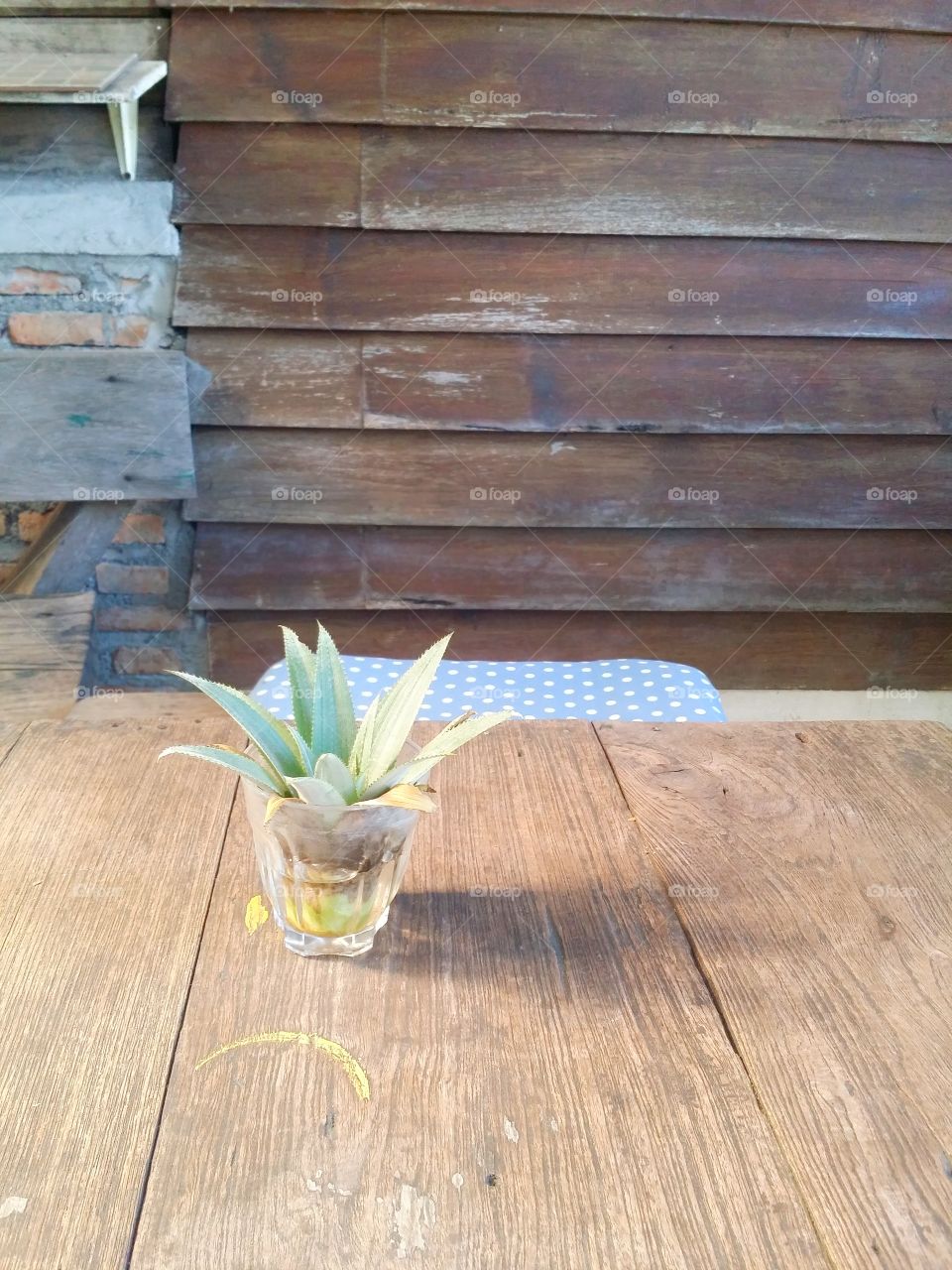 Plant in the glass on the table.