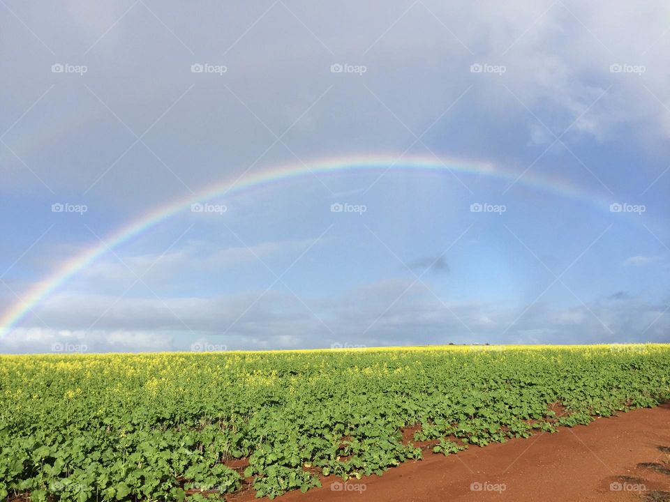 Rainbow and Flowers