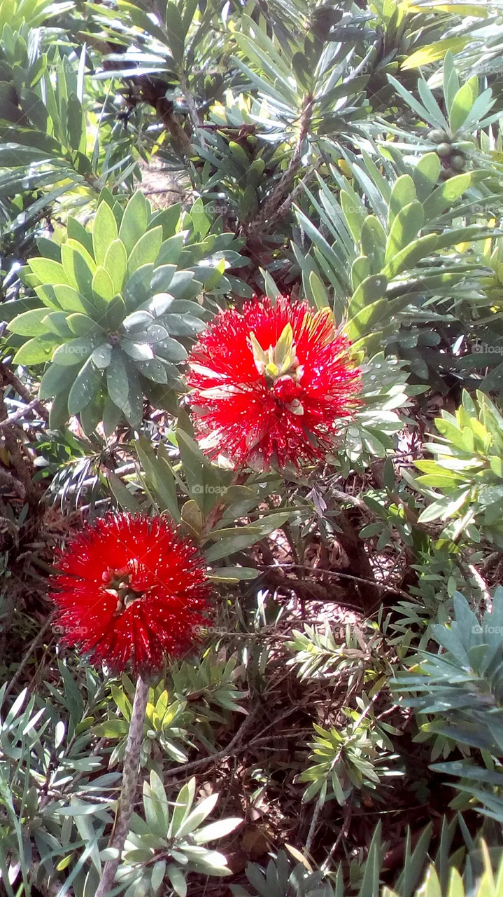 Nature