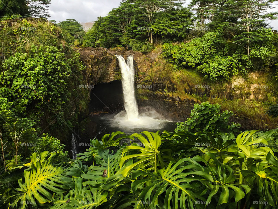 Rainbow Falls in Hilo, Hawaii