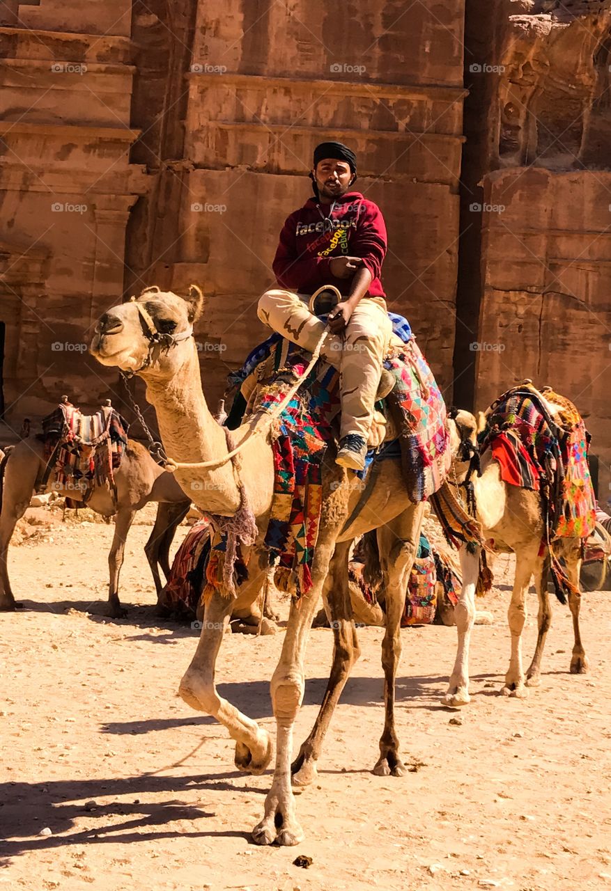 Bedouin on camel