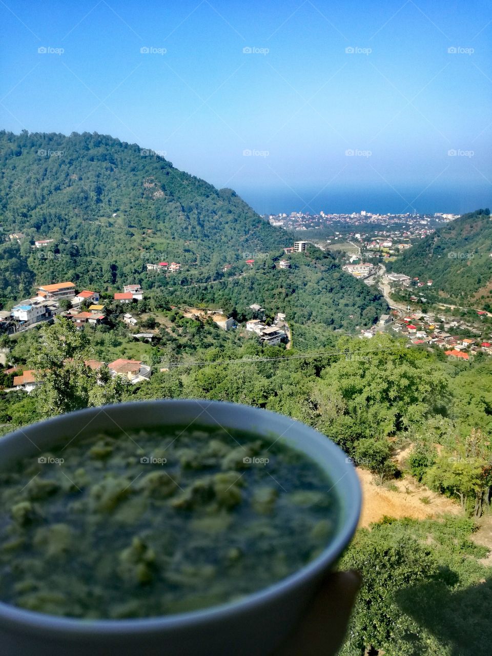 green food with green view