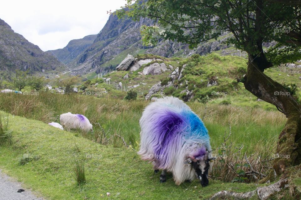 I love this place ;)