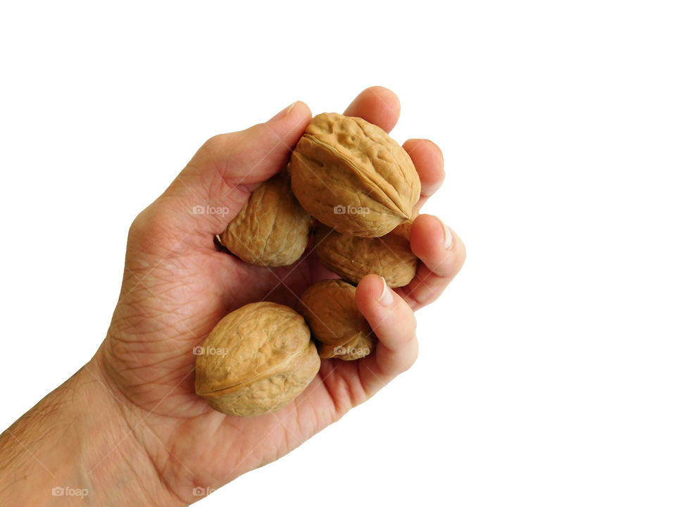 walnuts in hand