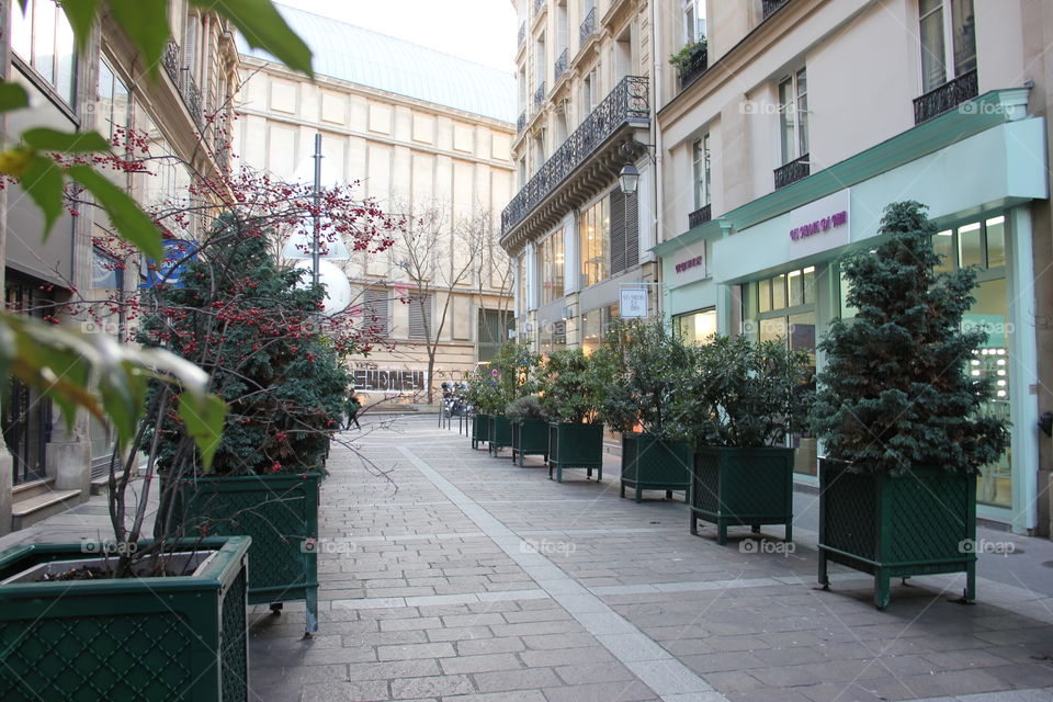 Walking steet in Paris