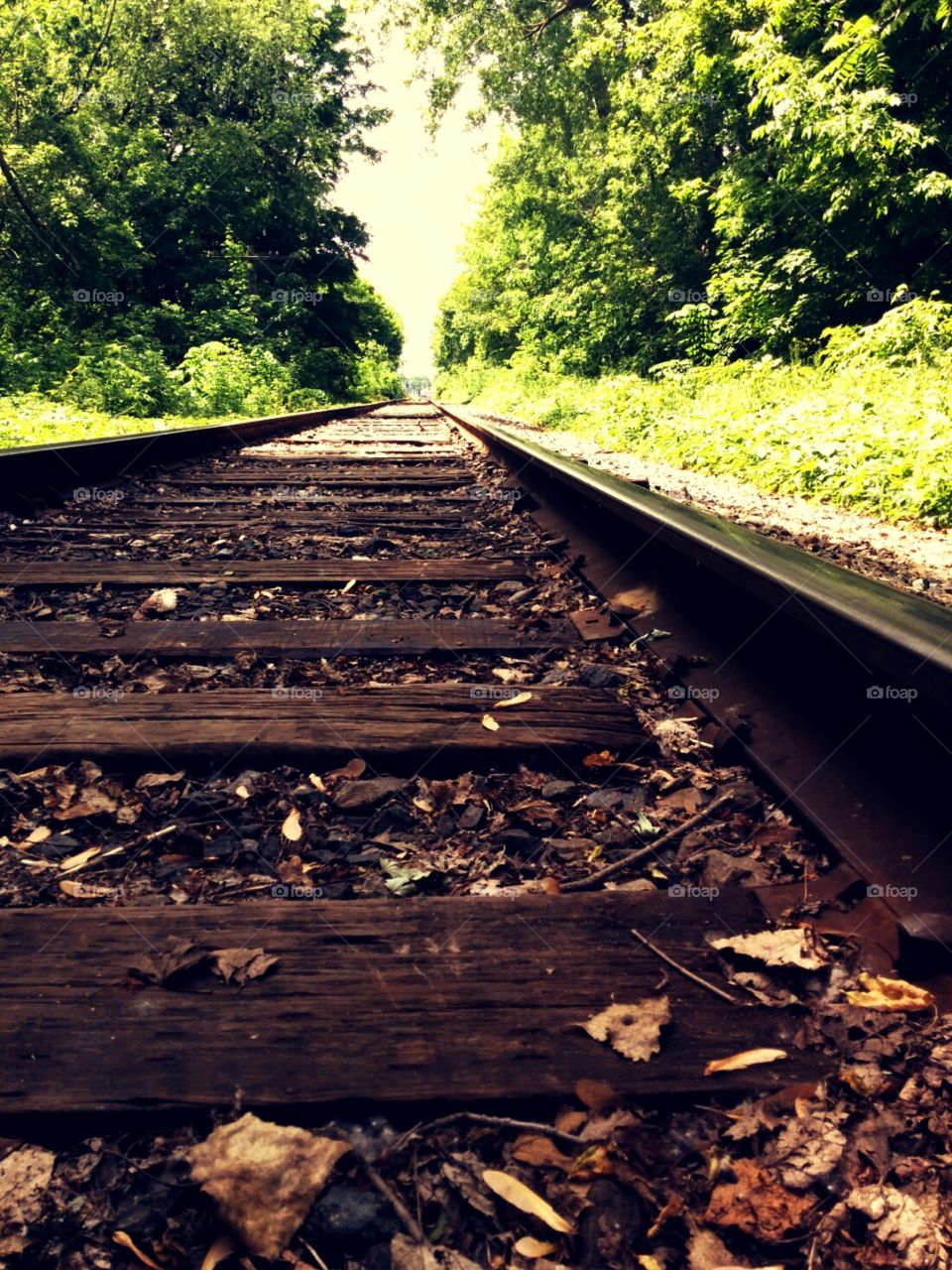 Follow the tracks
