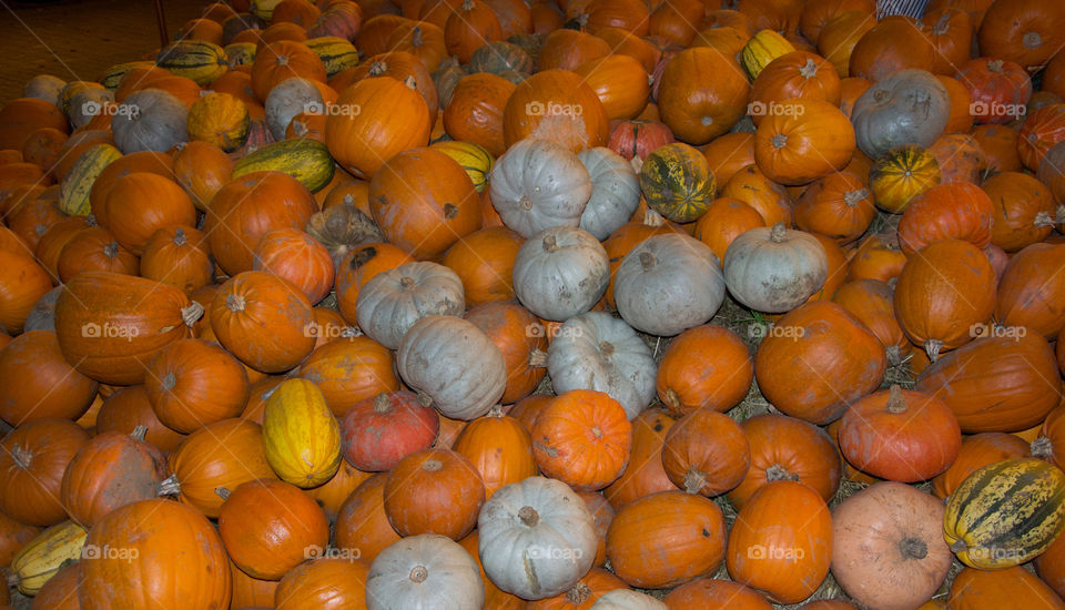 Pumpkins at display at market in Copenhagen Denmark.