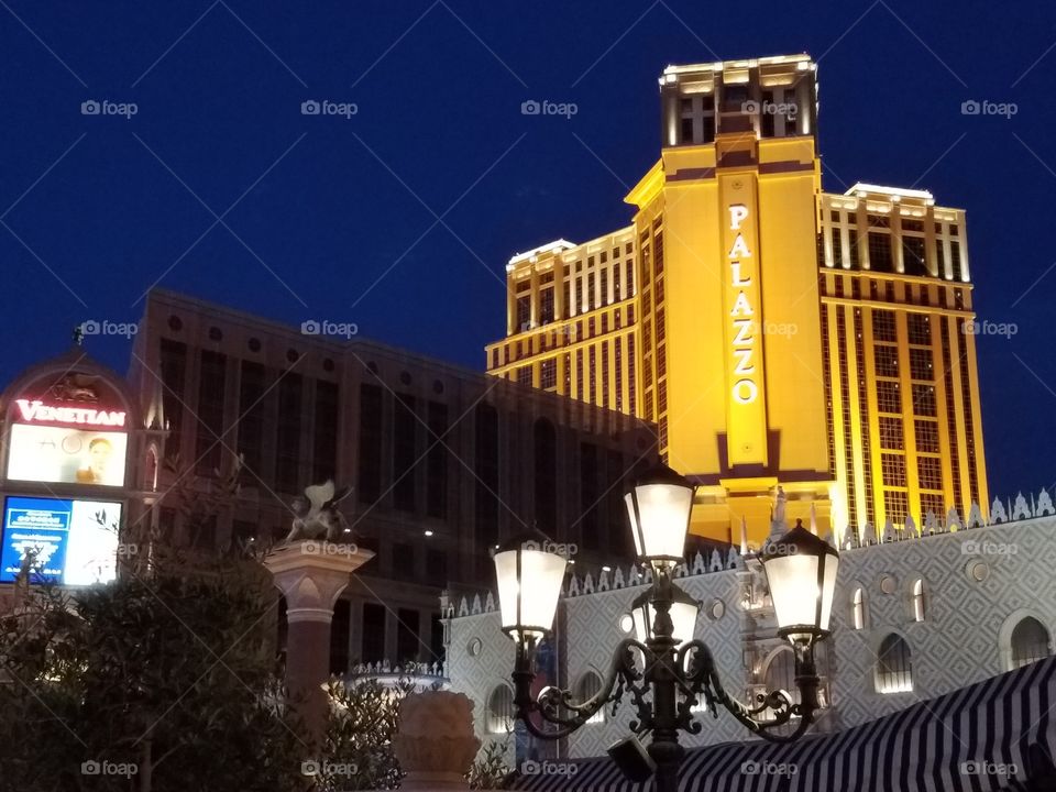 The Venetian Hotel Las Vegas