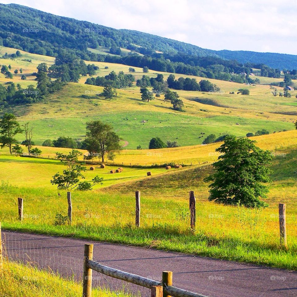 Virginia countryside