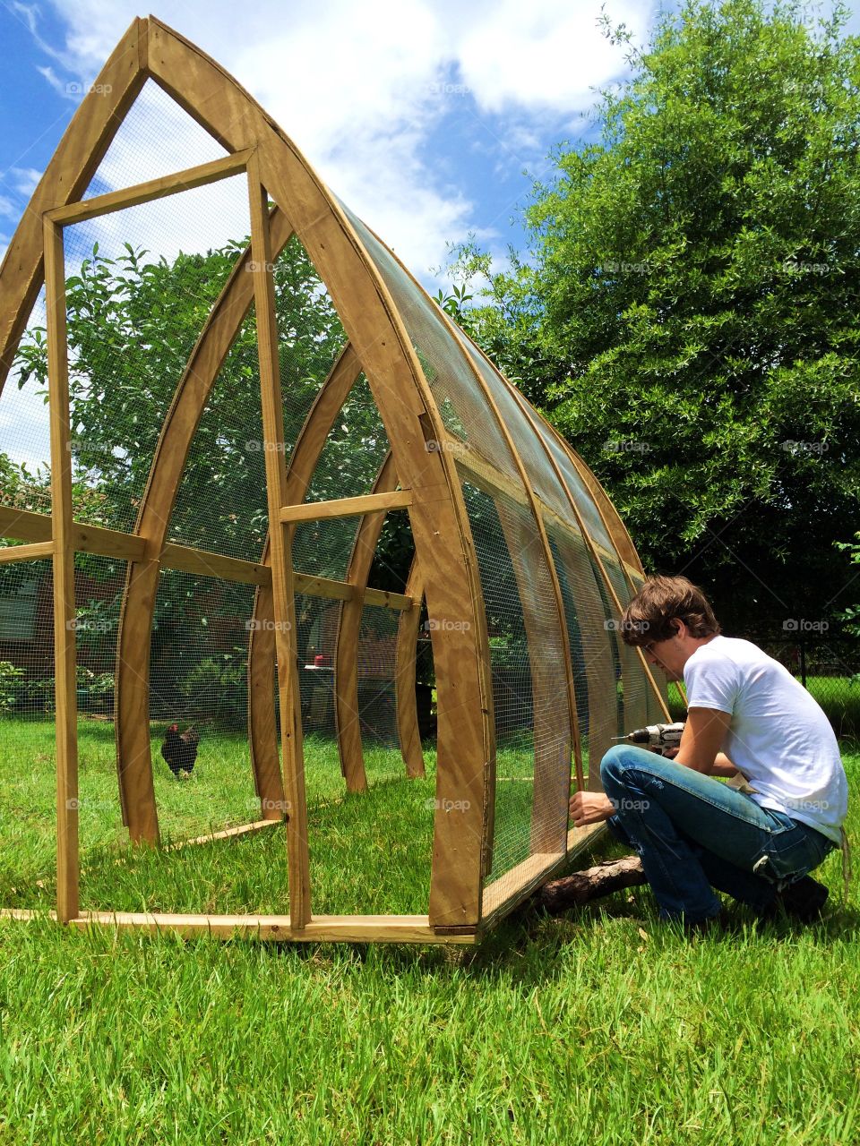 Chicken coop