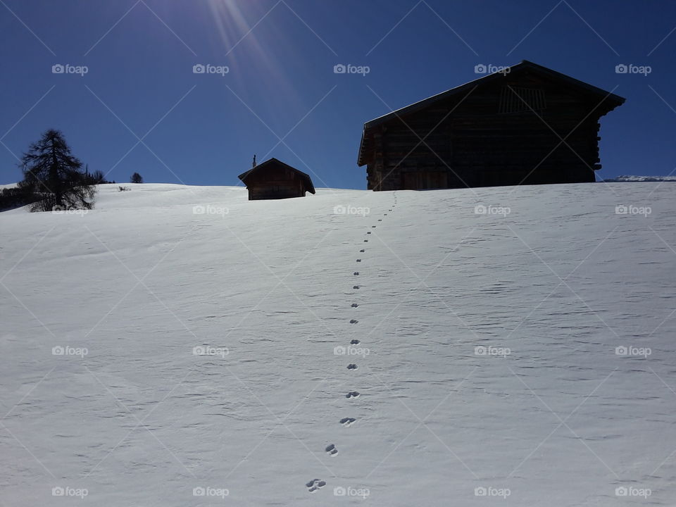 Snow winter mountain