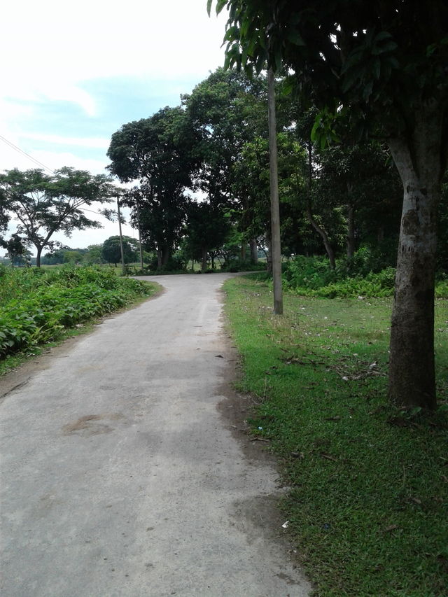 Road