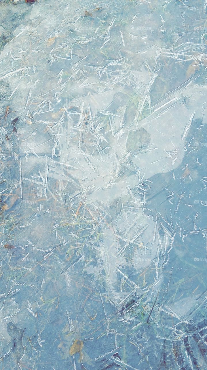 Frozen Ice Puddle
