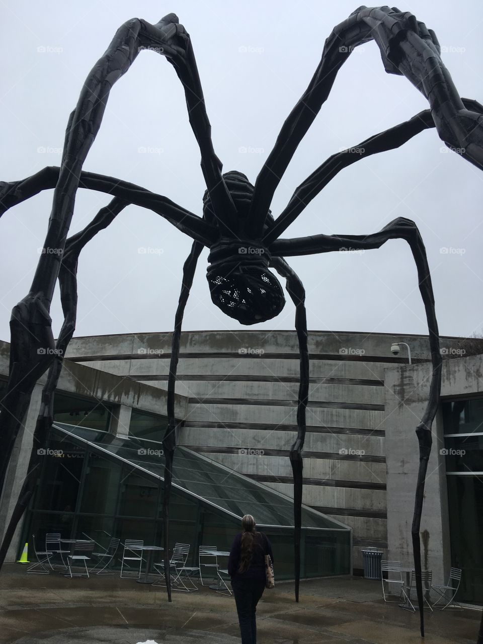 How about a huge spider with eggs? Hope they don’t hatch that wouldn’t be good. Lol