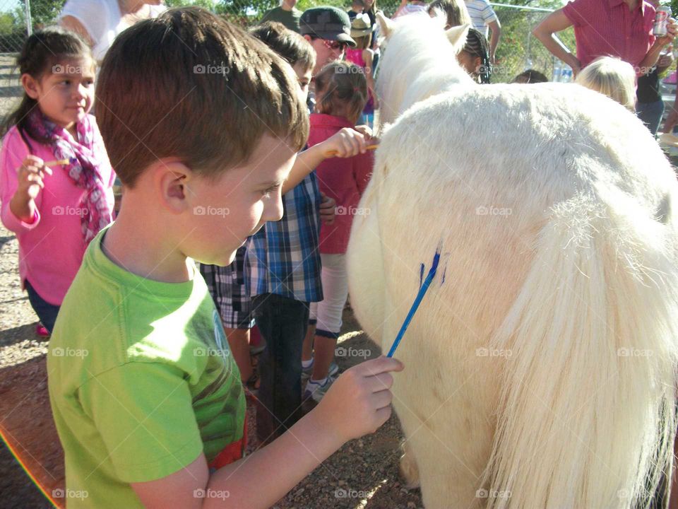 painting a horse