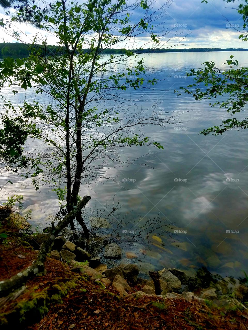 evening by the lake.