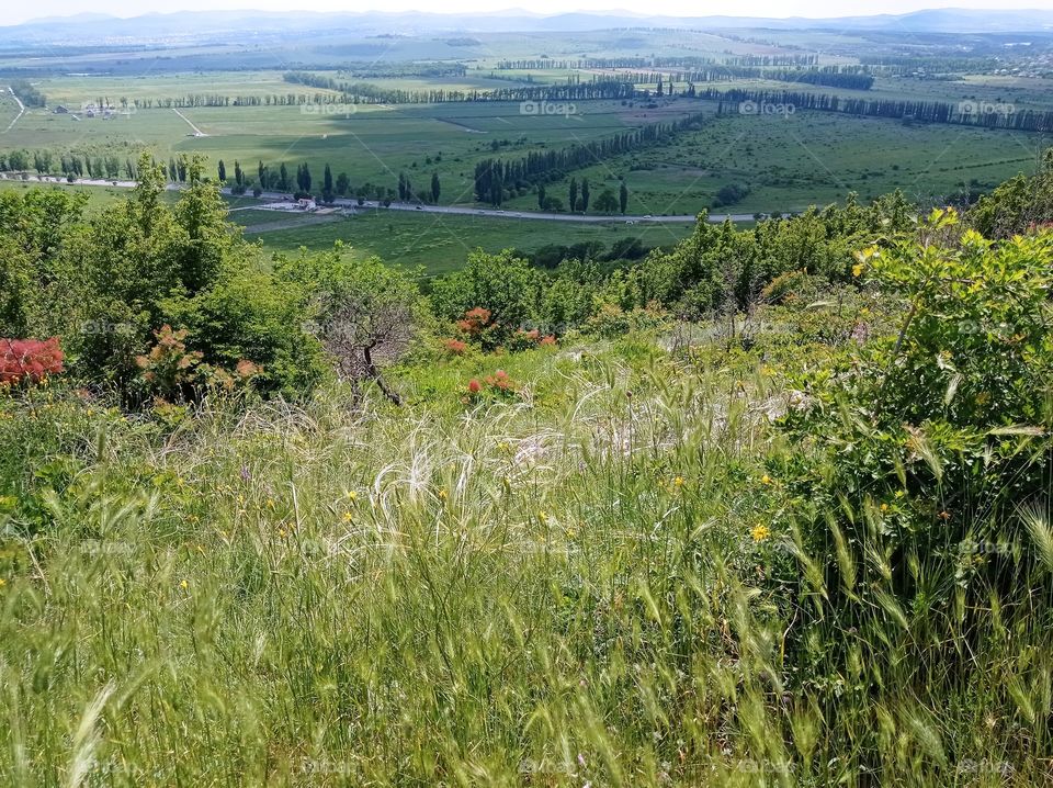 Beautiful nature. View from the mountain. Forests, Fields, vineyards, hills and mountains. Sunny day.