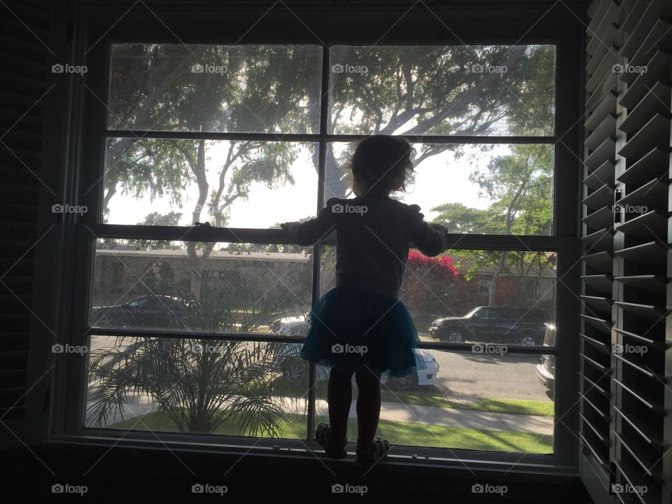 Window climber