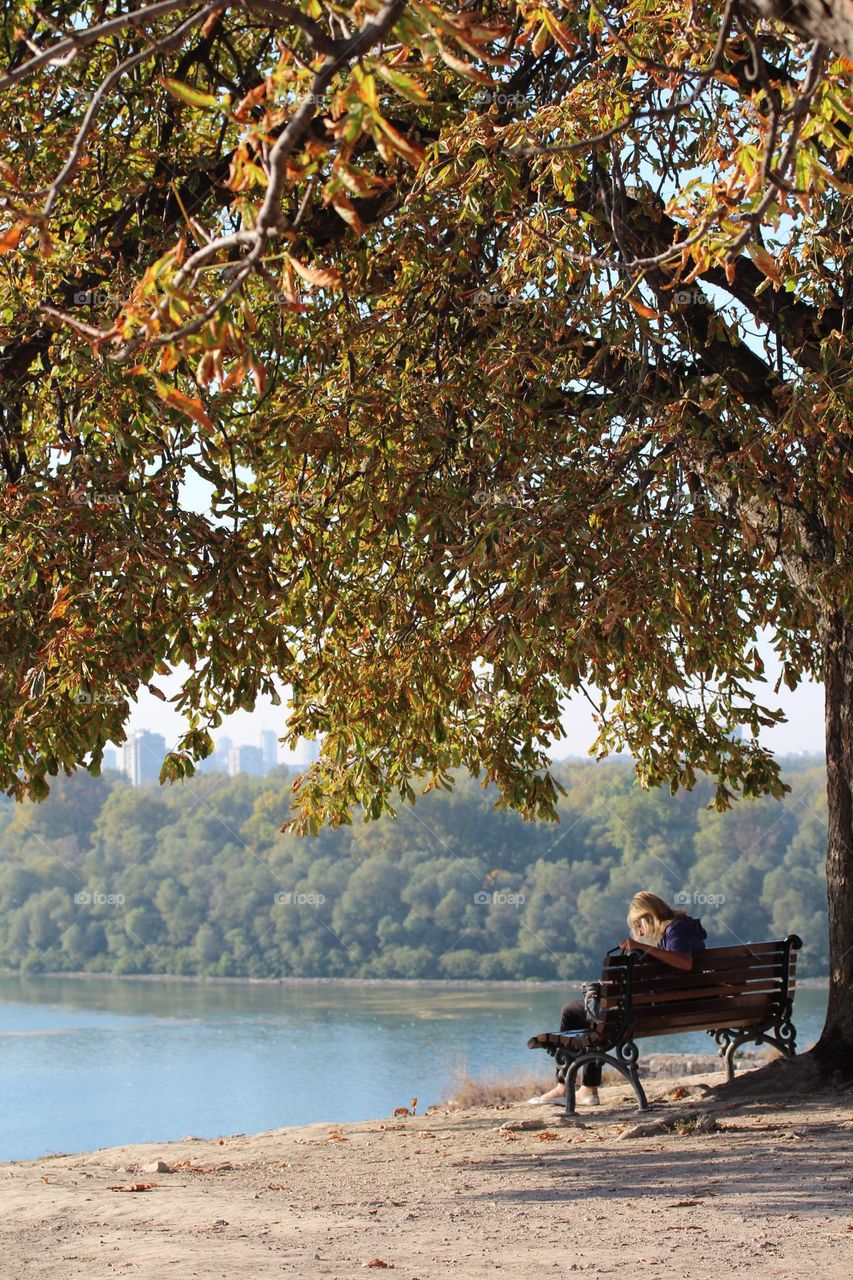 Autumn by the Danube river in the city of Belgrade