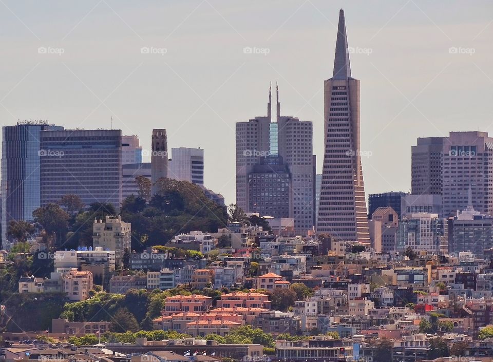 San Francisco Skyline. Iconic Skyline Of Downtown San Francisco With Transamerica Pyramid
