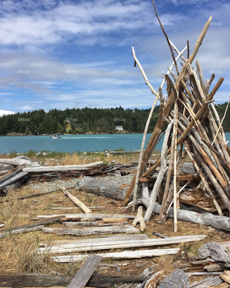 Driftwood shelter 